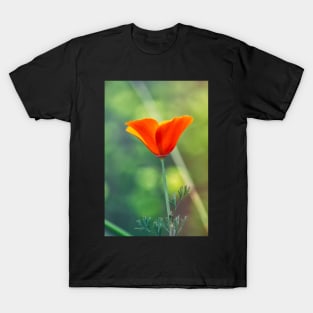 Poppy T-Shirt